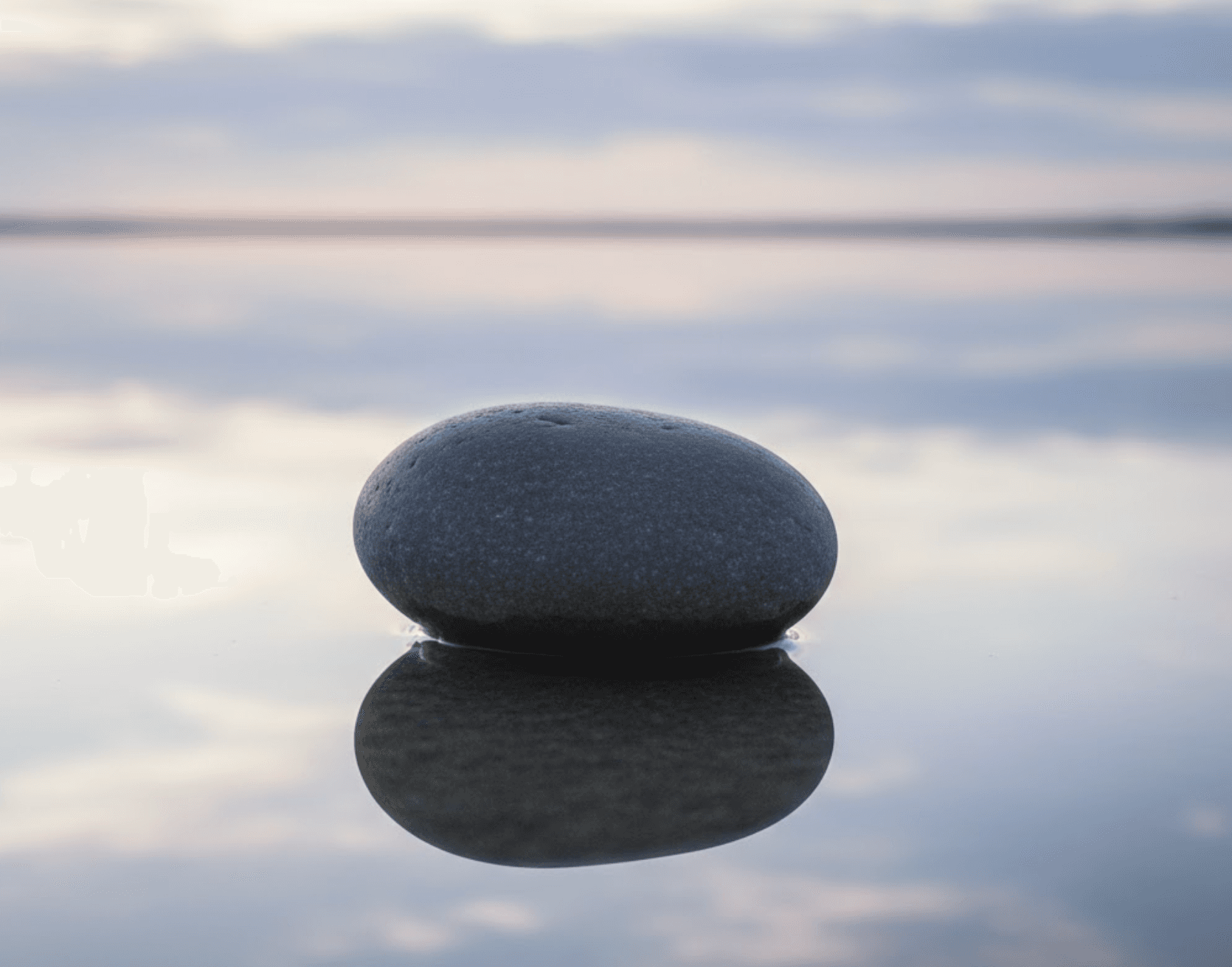 Celebrating 20 Years of Spavia: A Look Back and a Vision Forward